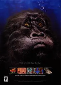 Donkey Kong Country
