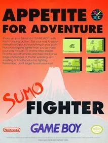 Sumo Fighter