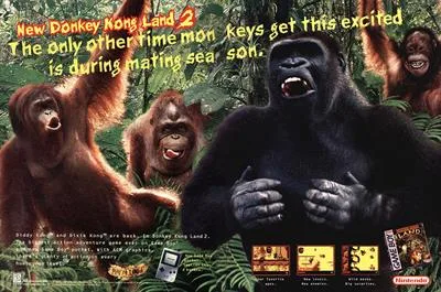 Donkey Kong Land 2